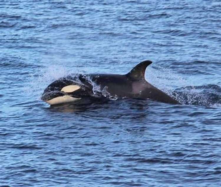 Farr North Lodge 1 ウィック エクステリア 写真